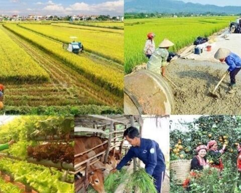 Giải ngân vốn các chương trình mục tiêu quốc gia còn chậm