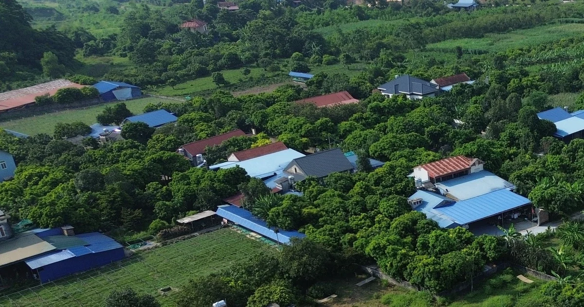 Loạt dự án tại Thái Nguyên xin chấm dứt hoạt động