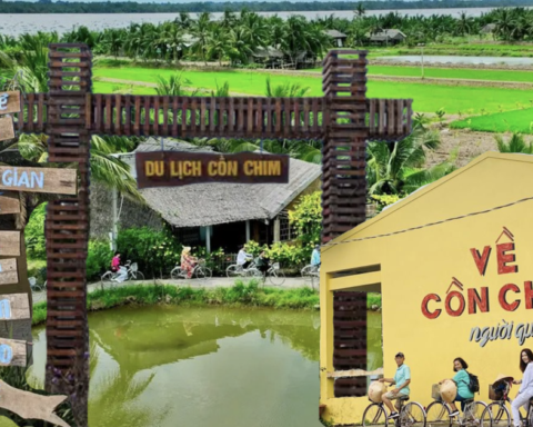 Cồn Chim Trà Vinh đông khách chưa từng có sau “hiệu ứng Phương Mỹ Chi”, người dân dậy từ 3 giờ sáng chuẩn bị đón khách