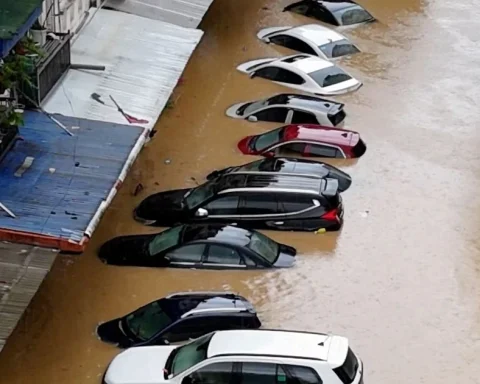 Sắp đấu giá lô xe ô tô bị ngập nước qua nóc, giá từ 2,02 tỷ đồng
