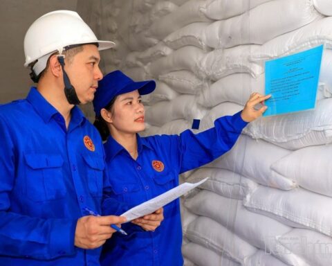 Quy định về nhập, xuất hàng dự trữ quốc gia