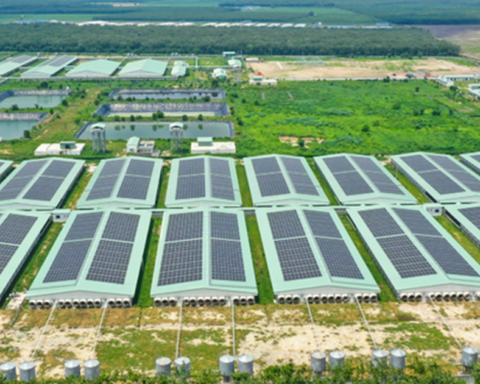 Baf Việt Nam thành lập công ty con chế biến thực phẩm tại Gia Lai