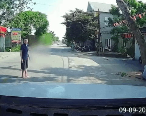 Vụ cưa cây đổ ra đường, đè người đi xe máy tử vong: Gia đình tự thuê người chặt cây chết trước nhà