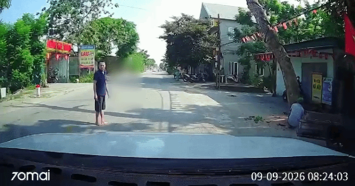 Vụ cưa cây đổ ra đường, đè người đi xe máy tử vong: Gia đình tự thuê người chặt cây chết trước nhà