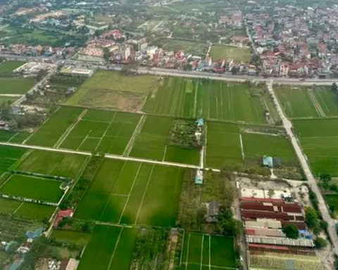 Không khai báo lại thông tin đã có dữ liệu khi làm thủ tục đất đai