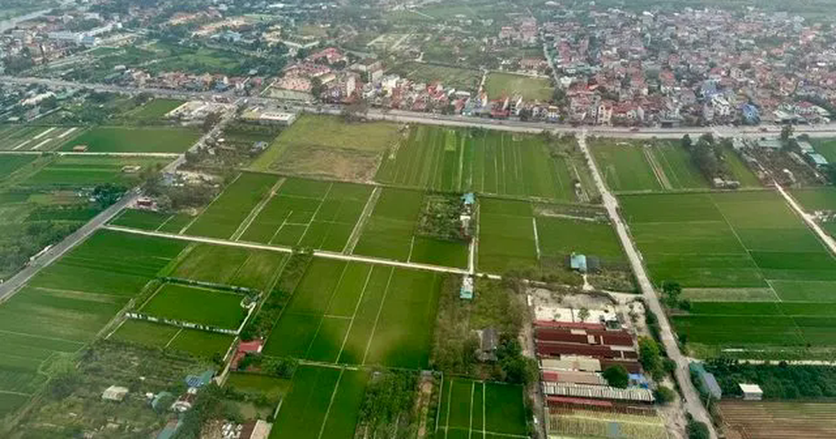 Không khai báo lại thông tin đã có dữ liệu khi làm thủ tục đất đai