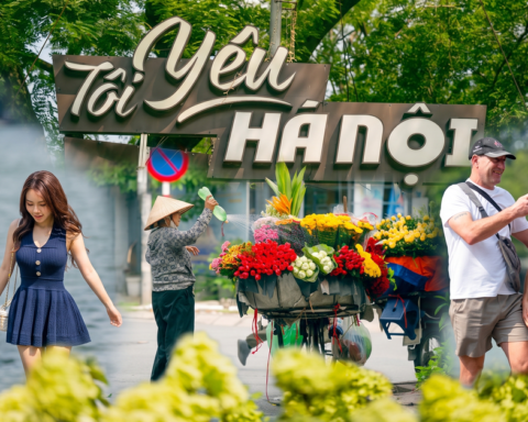 “Vạn vật đều thua Hà Nội mùa thu”: Đợt gió lạnh đầu tiên vừa đi qua, phố đã kịp đổi màu
