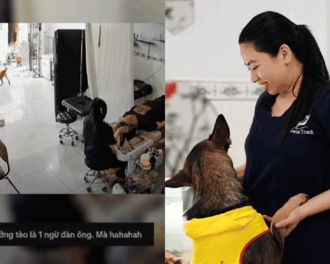 Chú chó “nhận hàng” quen mặt shipper TP.HCM: Ăn gạo ST25, trứng vịt lộn, được chủ cưng như con