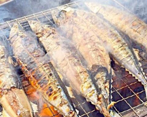 Rẻ hơn cá hồi nhưng dinh dưỡng chẳng “kém cạnh”, DHA gấp 3: Bạn có biết đó là cá gì?