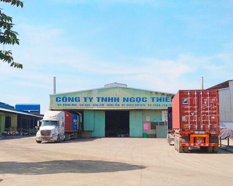 Nợ hơn 536 tỷ đồng liên quan đến thuế, một công ty có Phó Tổng giám đốc đang bị điều tra về tội lừa đảo