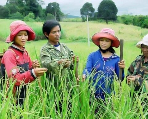 Đề xuất loạt cơ chế mới thực hiện Chương trình mục tiêu quốc gia 2026 – 2035