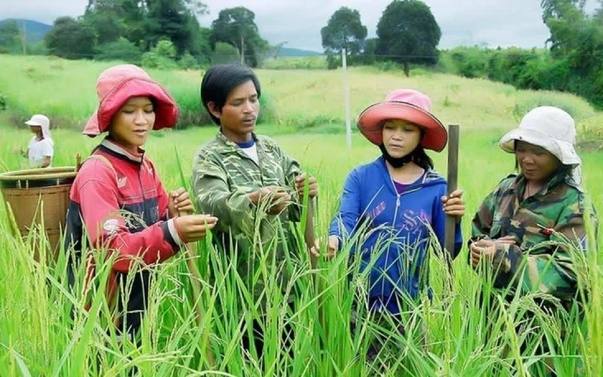 Đề xuất loạt cơ chế mới thực hiện Chương trình mục tiêu quốc gia 2026 – 2035