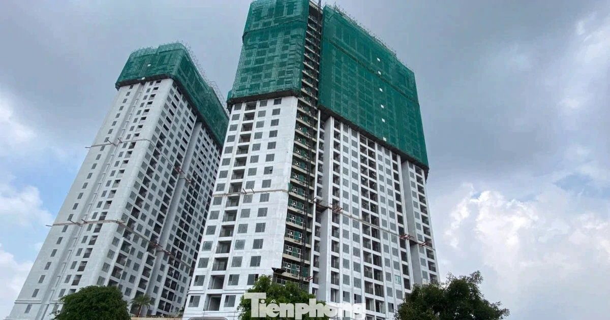 Giá nhà neo cao, doanh nghiệp ‘chăm khách’ thế nào?