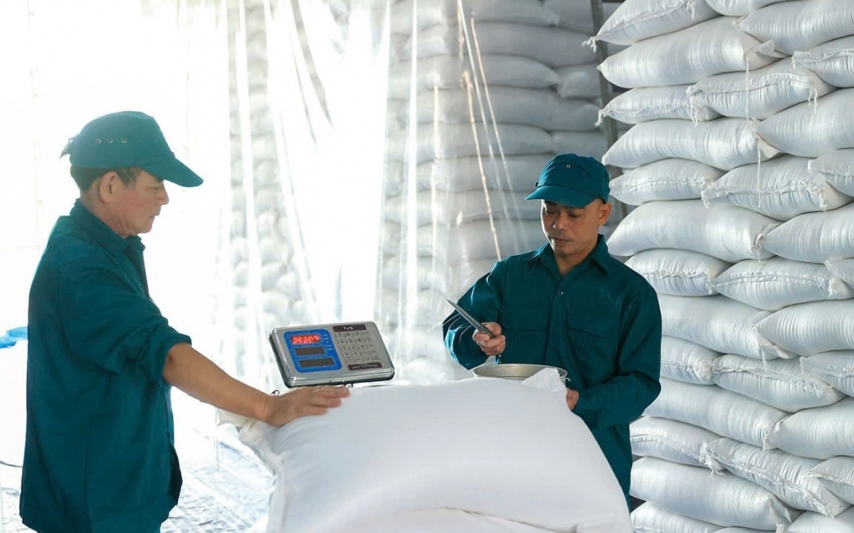Xuất cấp hơn 5.567 tấn gạo dự trữ hỗ trợ học sinh