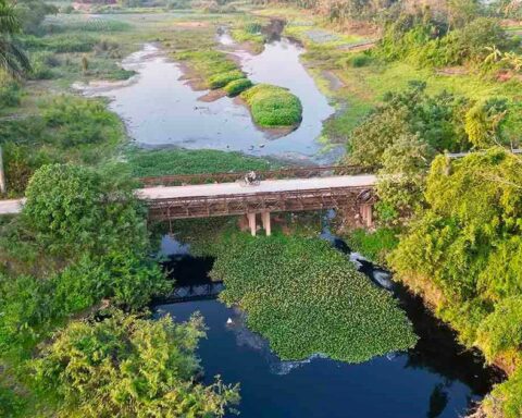 Gần 230.000 tỷ đồng cải tạo sông Đáy: MIK Group xin làm BT, đổi bằng đất