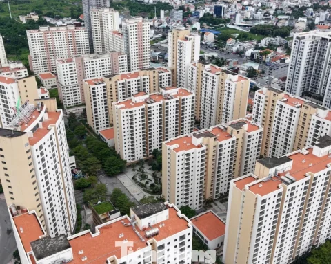 Tận thấy hàng ngàn căn hộ tái định cư hoang vắng ở TPHCM