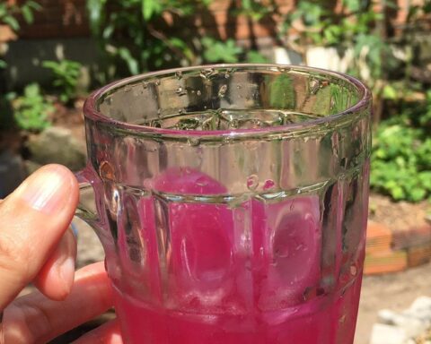 Lời khuyên cho những người hay uống nước lá tía tô vắt chanh