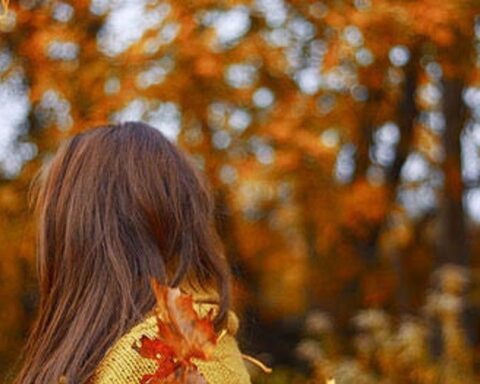 Vì sao vào mùa thu cơ thể hay mệt mỏi, tâm trạng dễ chán chường?