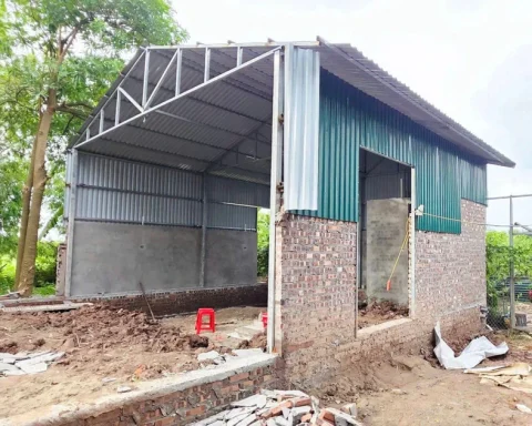 Hà Nội: 740 trường hợp vi phạm đất đai được phát hiện tại một xã