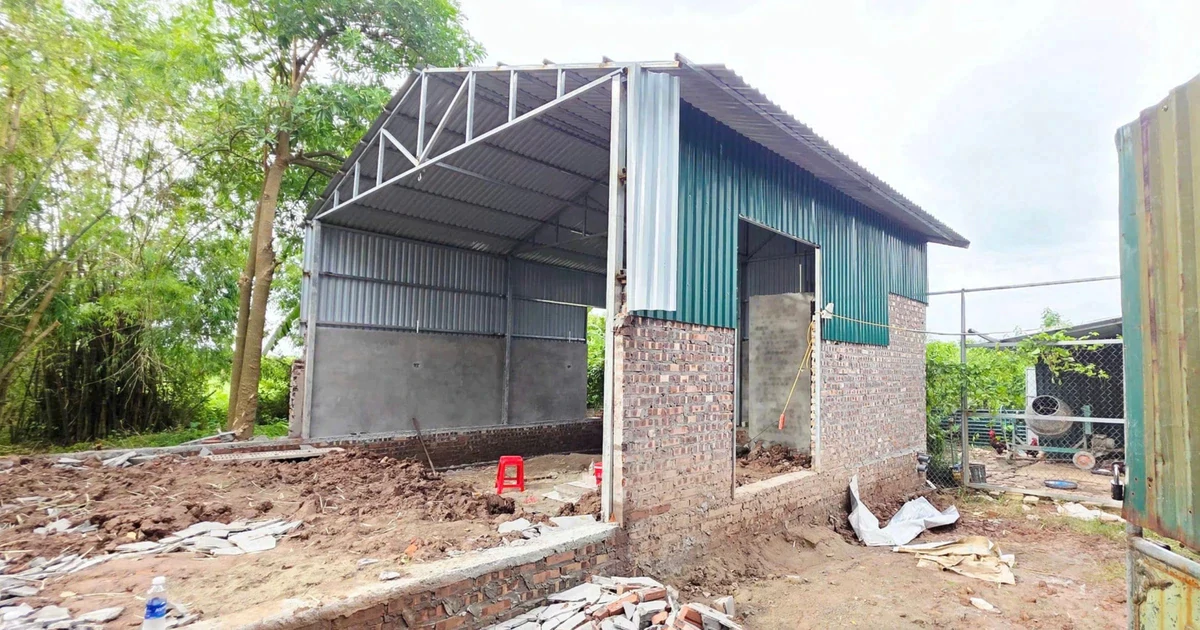 Hà Nội: 740 trường hợp vi phạm đất đai được phát hiện tại một xã