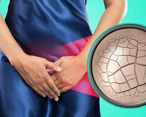 Âm đạo thay đổi thế nào khi mãn kinh?