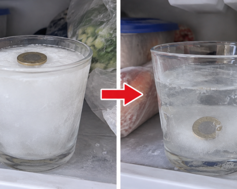 Đặt 1 cốc nước vào ngăn đá trước khi đi xa, mẹo nhỏ giúp bạn biết một việc rất quan trọng khi trở về