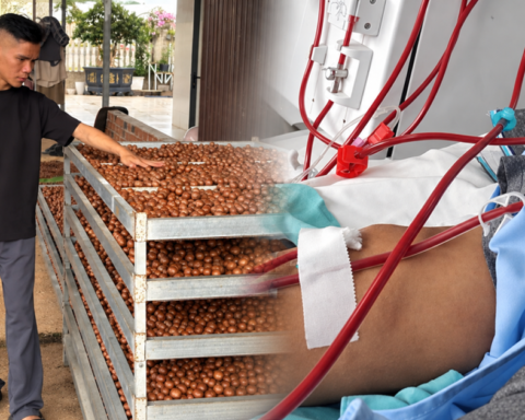 Chủ nhà hàng mới 24 tuổi đã suy thận giai đoạn cuối: Từng nghĩ do làm việc quá sức