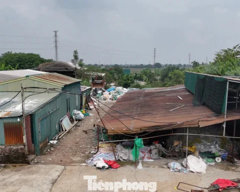 Hà Nội xử lý hàng trăm trường hợp vi phạm trên đất nông nghiệp