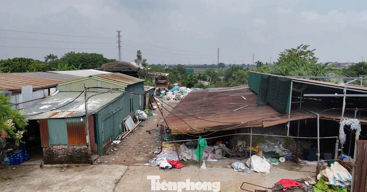 Hà Nội xử lý hàng trăm trường hợp vi phạm trên đất nông nghiệp