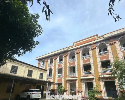 Bên trong trụ sở tòa án bỏ hoang được rao thuê hơn nửa tỷ đồng/năm
