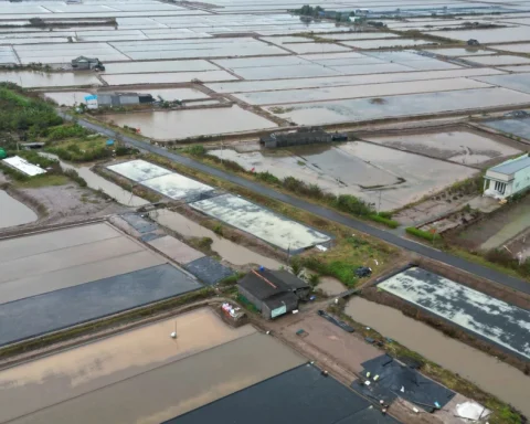 Kiến nghị chuyển hồ sơ sang công an vụ cho thuê đất công ở Cà Mau