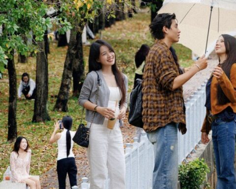 Dậy từ 5 giờ sáng ra kênh Nhiêu Lộc – Thị Nghè săn lá vàng, giới trẻ TP.HCM đang tận hưởng “mùa thu” vô cùng hiếm có