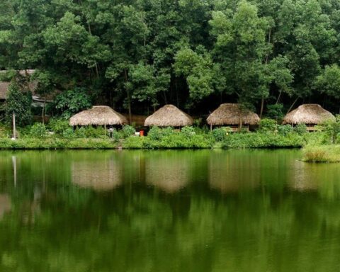 Việt Nam có 1 ngôi làng gần 200 người “ăn chung nồi cơm, tiêu chung túi tiền”: Xanh mát như ốc đảo, được công nhận “Làng du lịch tốt nhất thế giới”