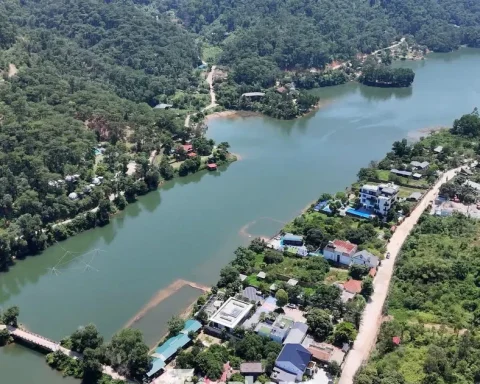 Hà Nội xin ý kiến điều chỉnh diện tích hơn 7.000ha khỏi quy hoạch rừng, đất lâm nghiệp