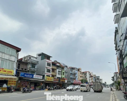 Sau cải tạo, tuyến phố ở Hà Nội không còn cây xanh