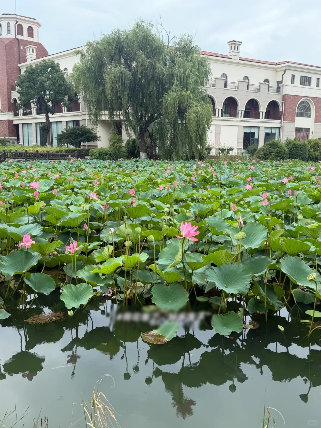 Căn phòng công ty cấp cho nữ nhân viên văn phòng 31 tuổi, lương 77,3 triệu/tháng - Ảnh 10.