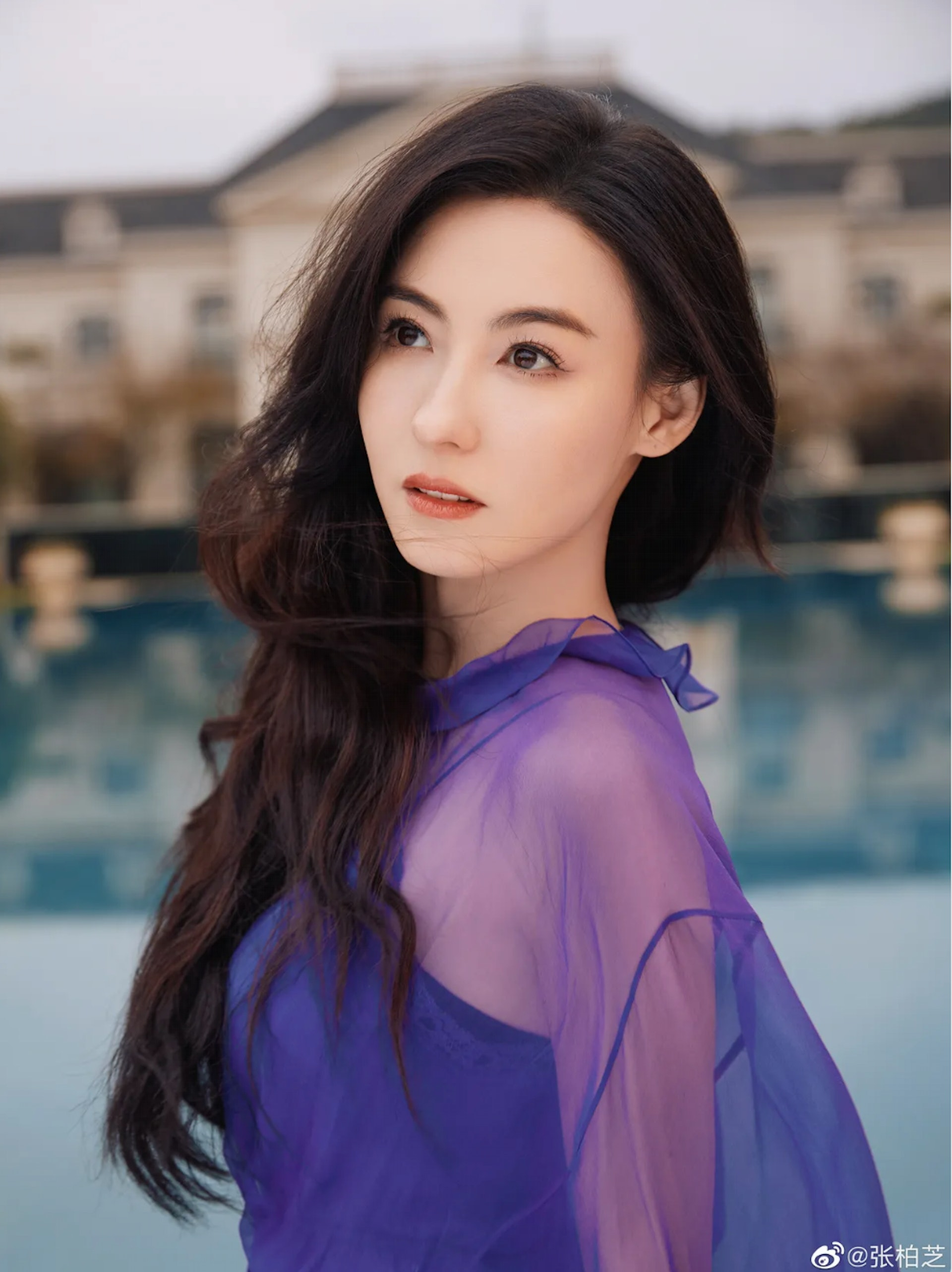 Quá tiếc cho Trương Bá Chi- Ảnh 3.