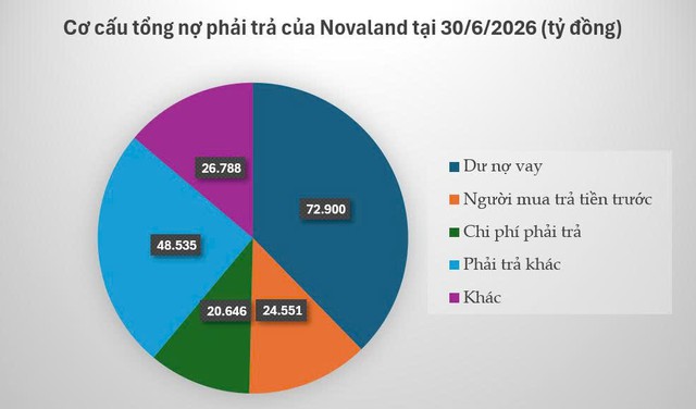 Novaland: Dự án xếp hàng chờ triển khai, doanh nghiệp vẫn tính đường xoay vốn từ cổ đông để trả nợ - Ảnh 2.