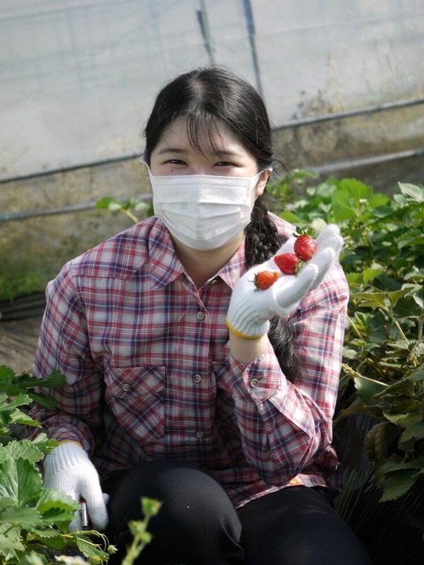 Hình ảnh cũ của Công chúa Aiko bị "đào lại" - Ảnh 1.