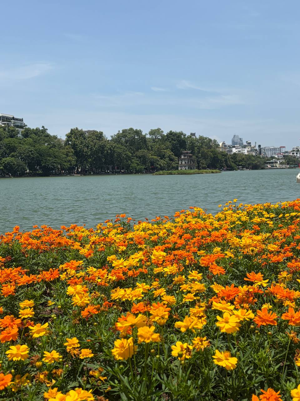 “Quyết không để các nàng thơ nhàm chán”: Hồ Gươm lại thay thảm hoa mới, Hà Nội dạo này thơ thế nhỉ! - Ảnh 6.