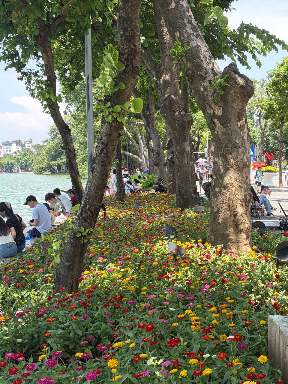 “Quyết không để các nàng thơ nhàm chán”: Hồ Gươm lại thay thảm hoa mới, Hà Nội dạo này thơ thế nhỉ! - Ảnh 5.