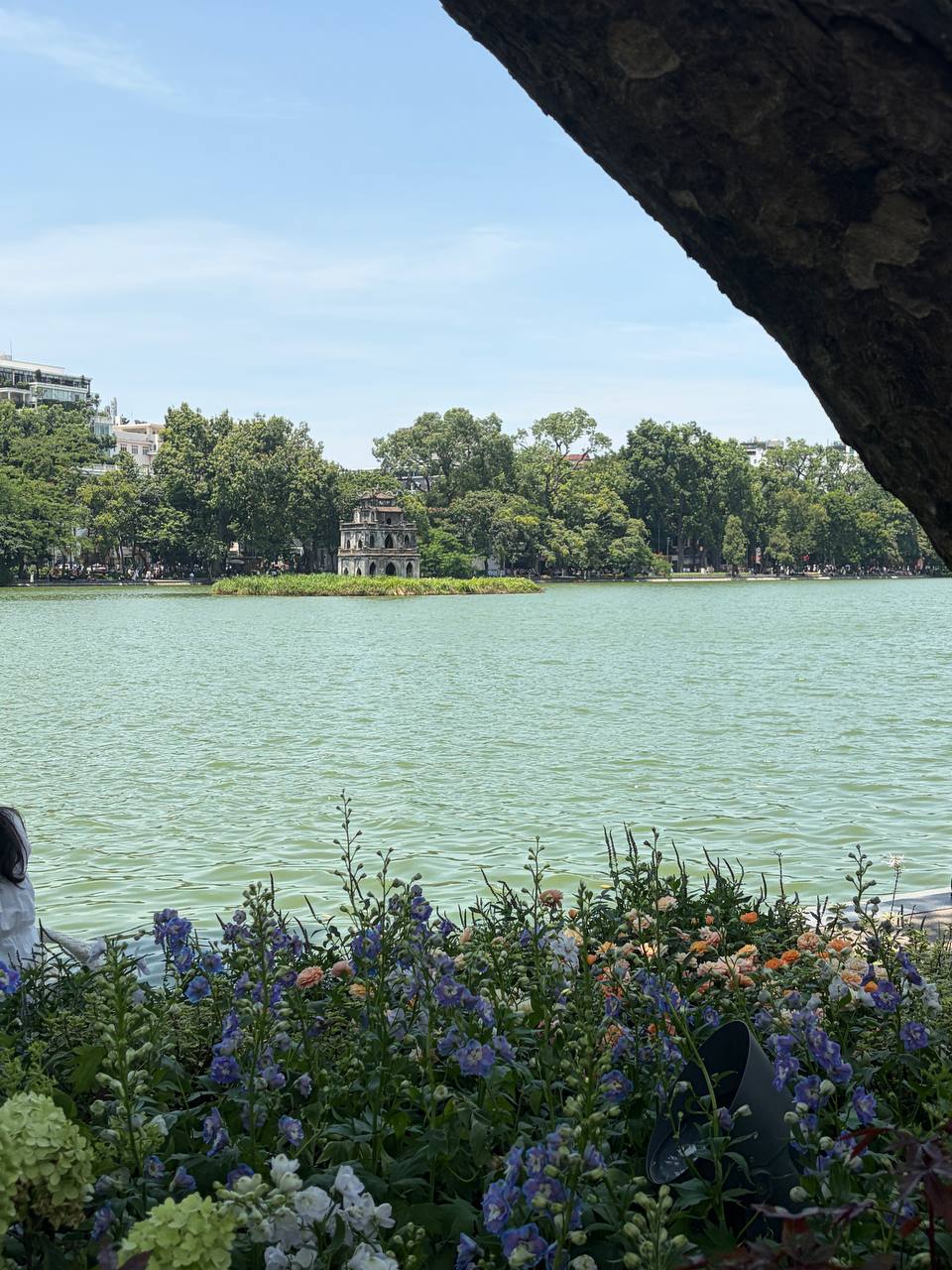 “Quyết không để các nàng thơ nhàm chán”: Hồ Gươm lại thay thảm hoa mới, Hà Nội dạo này thơ thế nhỉ! - Ảnh 3.