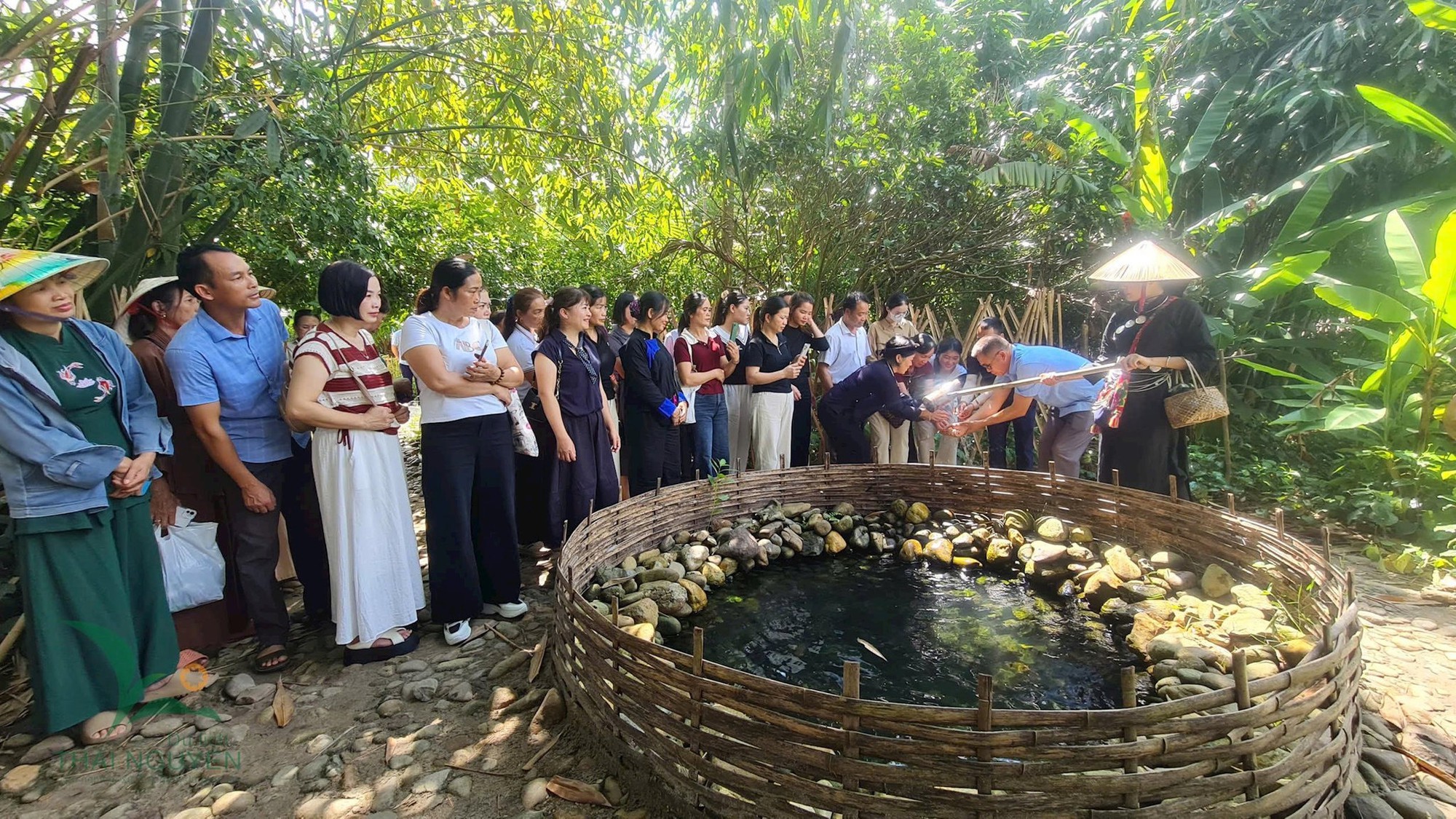 Việt Nam có 1 ngôi làng gần 200 người "ăn chung nồi cơm, tiêu chung túi tiền": Xanh mát như ốc đảo, được công nhận "Làng du lịch tốt nhất thế giới"- Ảnh 8.
