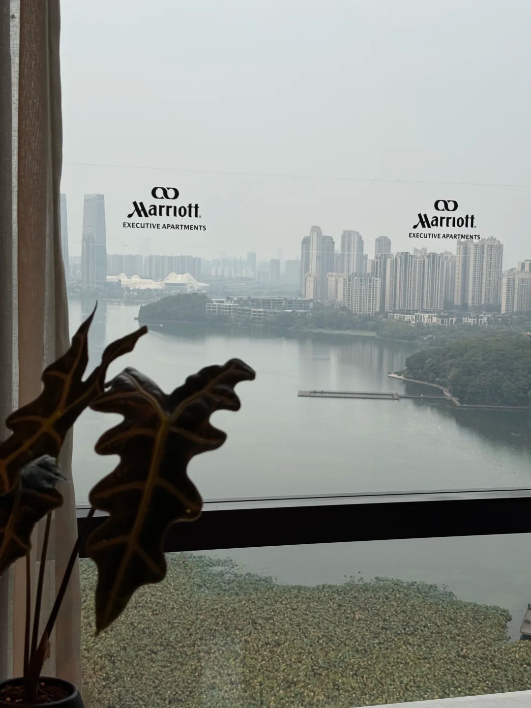 Thanh niên thuê khách sạn Marriott ở suốt 4 năm để được bao điện nước, miễn phí bữa sáng và đi tập gym cho gần- Ảnh 2.