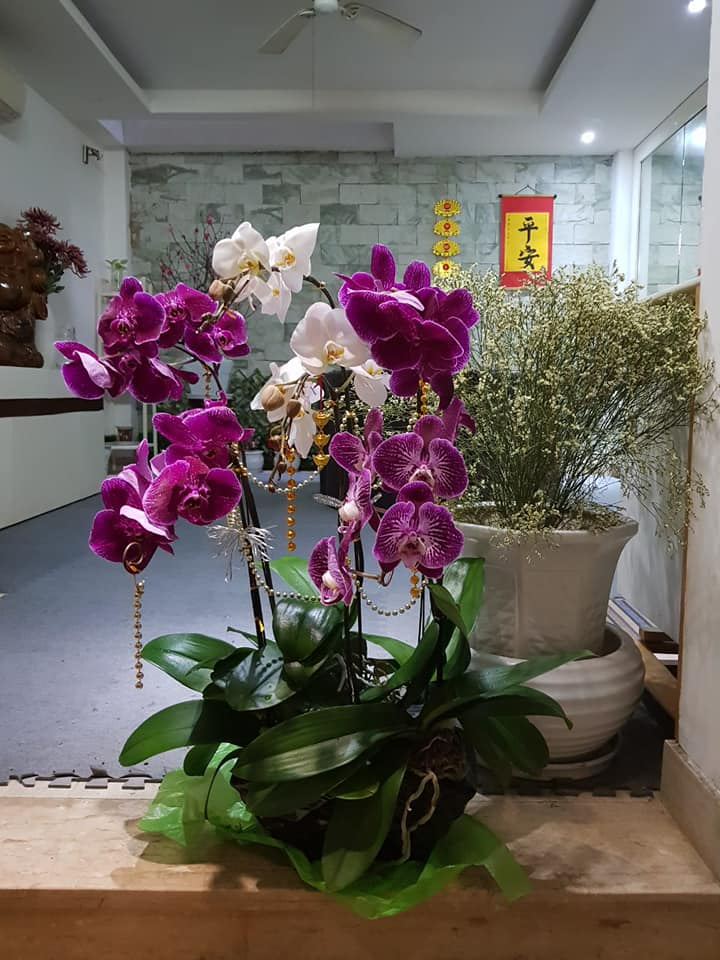 Người đầu tiên dẫn Ai Là Triệu Phú: Tốt nghiệp Ngôn ngữ Hindi, sống trong căn nhà 40m2 ở Hà Nội- Ảnh 5.