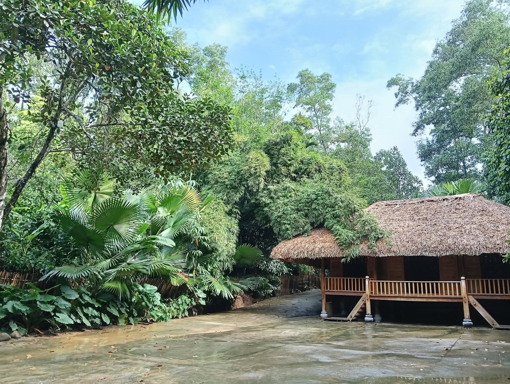 Việt Nam có 1 ngôi làng gần 200 người "ăn chung nồi cơm, tiêu chung túi tiền": Xanh mát như ốc đảo, được công nhận "Làng du lịch tốt nhất thế giới"- Ảnh 4.