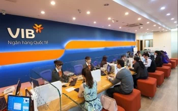 Thanh tra chỉ ra tồn tại trong cấp tín dụng tại VIB Quảng Ninh, nợ xấu ngân hàng lên gần 12.000 tỷ đồng Thanh tra chỉ ra tồn tại trong cấp tín dụng tại VIB Quảng Ninh, nợ xấu ngân hàng lên gần 12.000 tỷ đồng