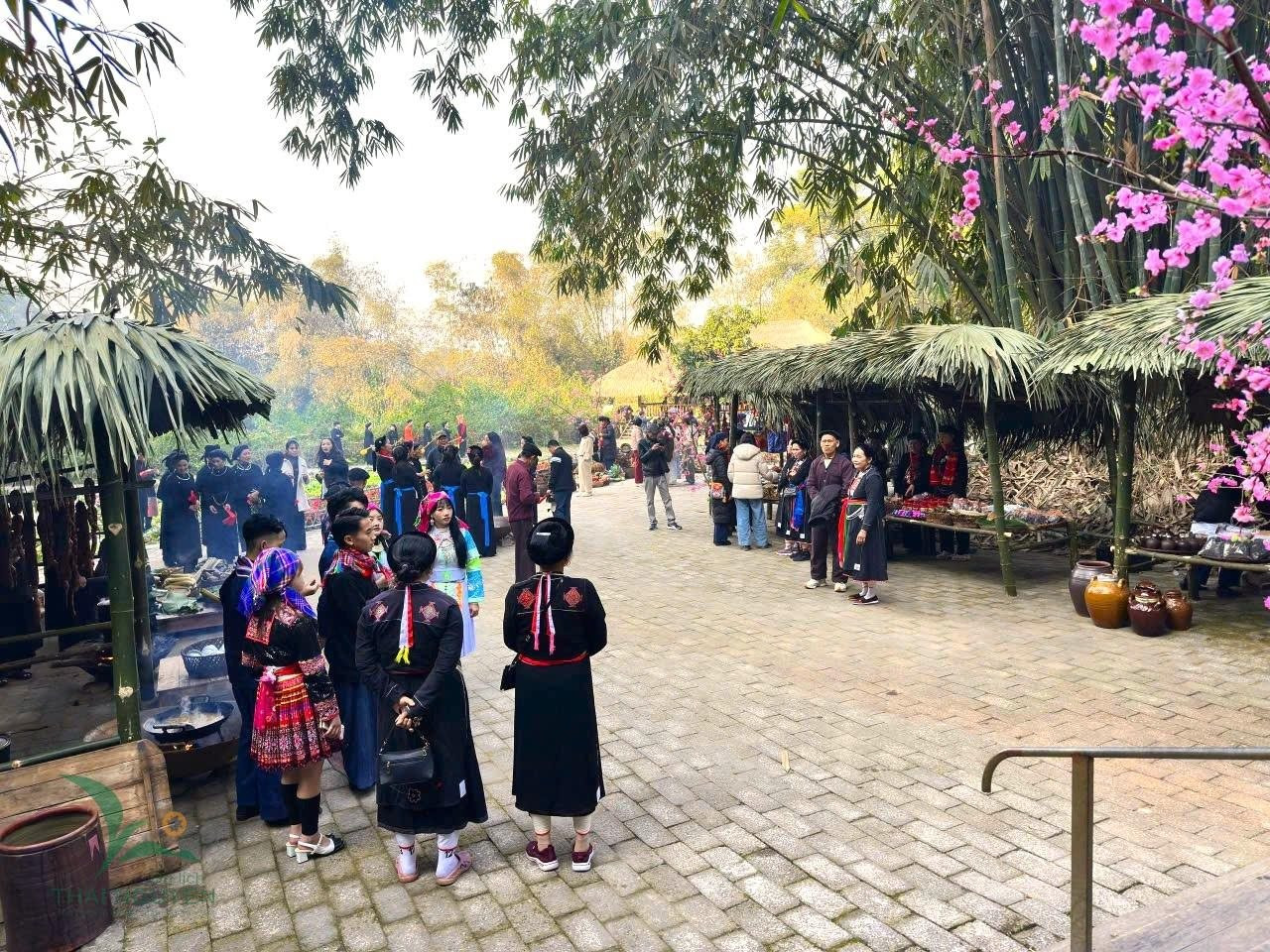 Việt Nam có 1 ngôi làng gần 200 người "ăn chung nồi cơm, tiêu chung túi tiền": Xanh mát như ốc đảo, được công nhận "Làng du lịch tốt nhất thế giới"- Ảnh 5.