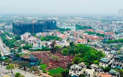 (Ảnh minh hoạ)