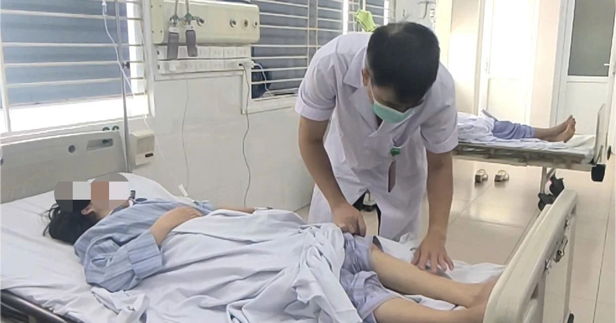 Màn chống muỗi có tác dụng gì ngoài ngăn muỗi? - Ảnh 2.
